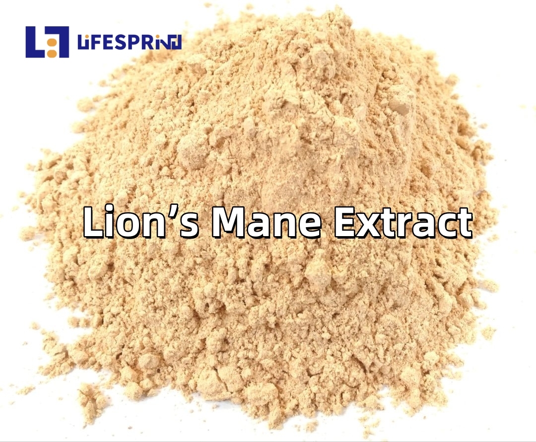 Lion’s Mane Extract