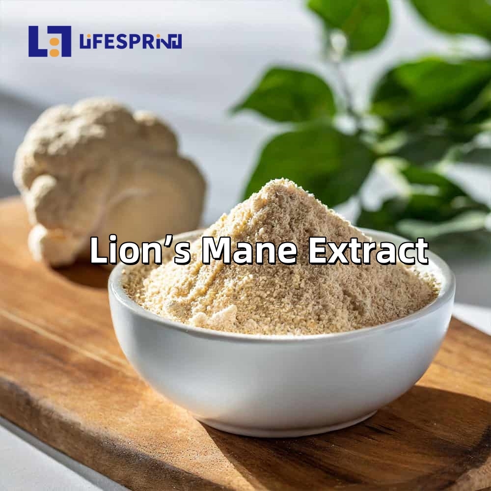 Lion’s Mane Extract