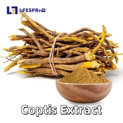 Coptis (Huang Lian) Extract