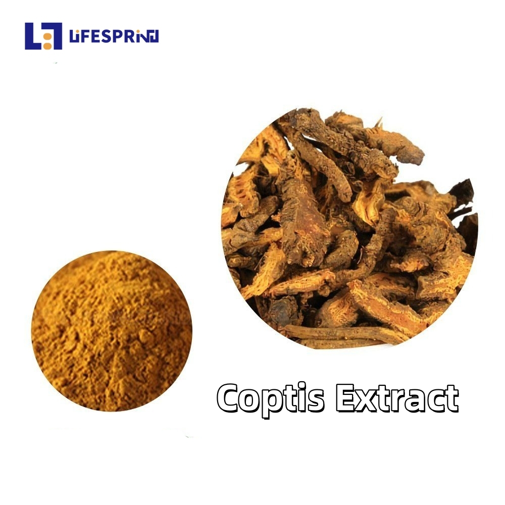 Coptis (Huang Lian) Extract