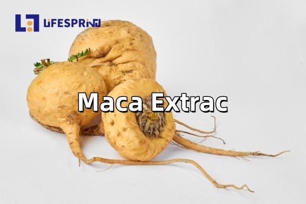 Maca Extract