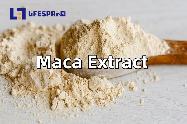 Maca Extract