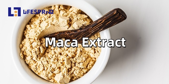 Maca Extract