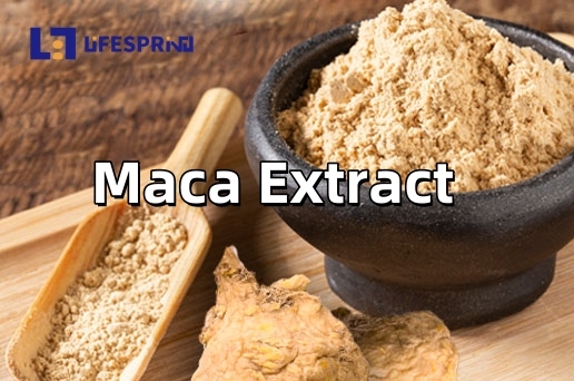 Maca Extract