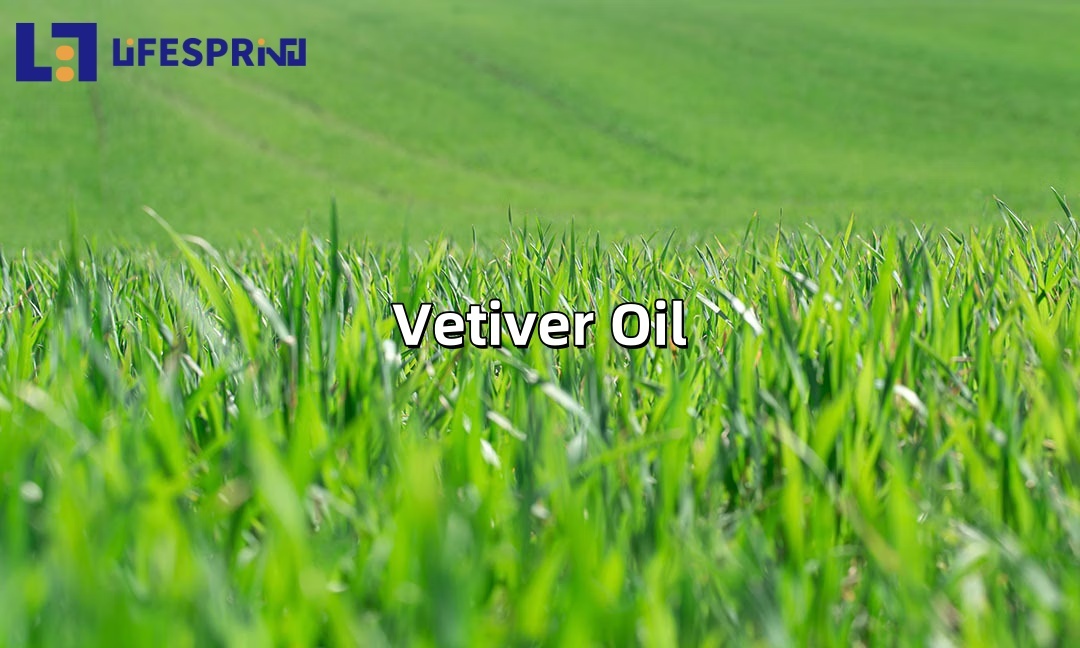 Vetiver Oil