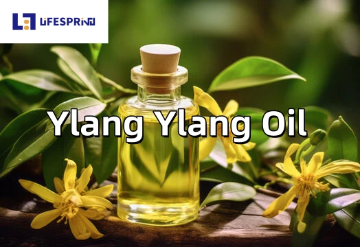Ylang Ylang Oil