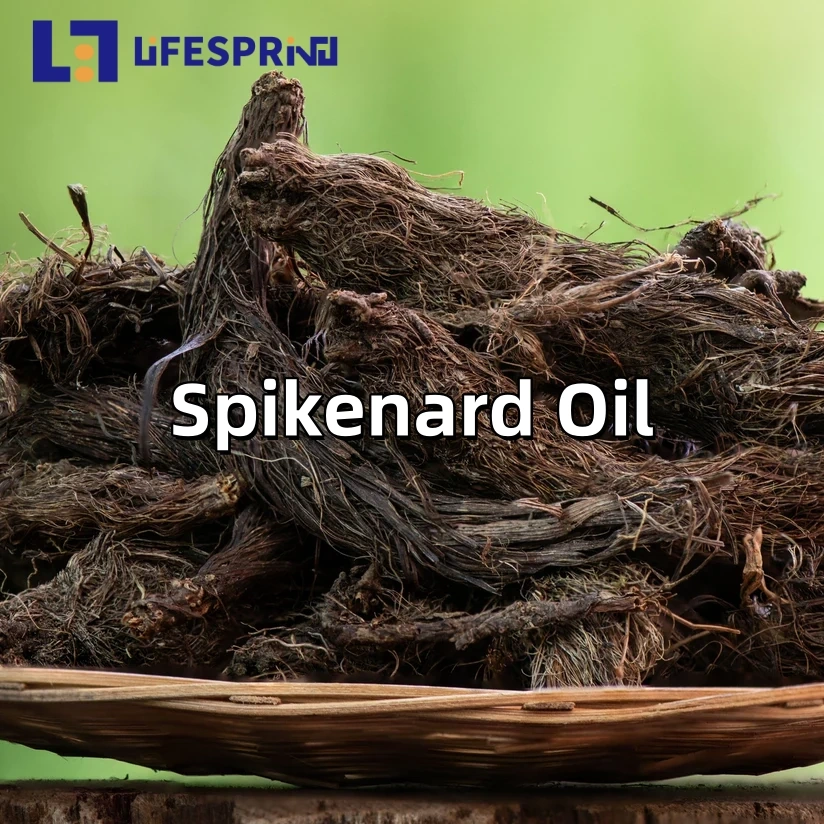 Spikenard Oil