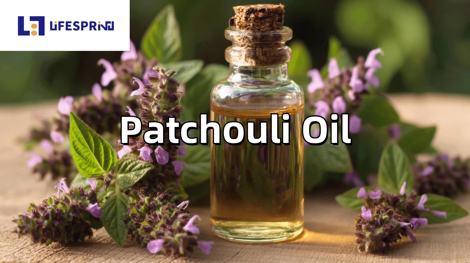 Patchouli Oil
