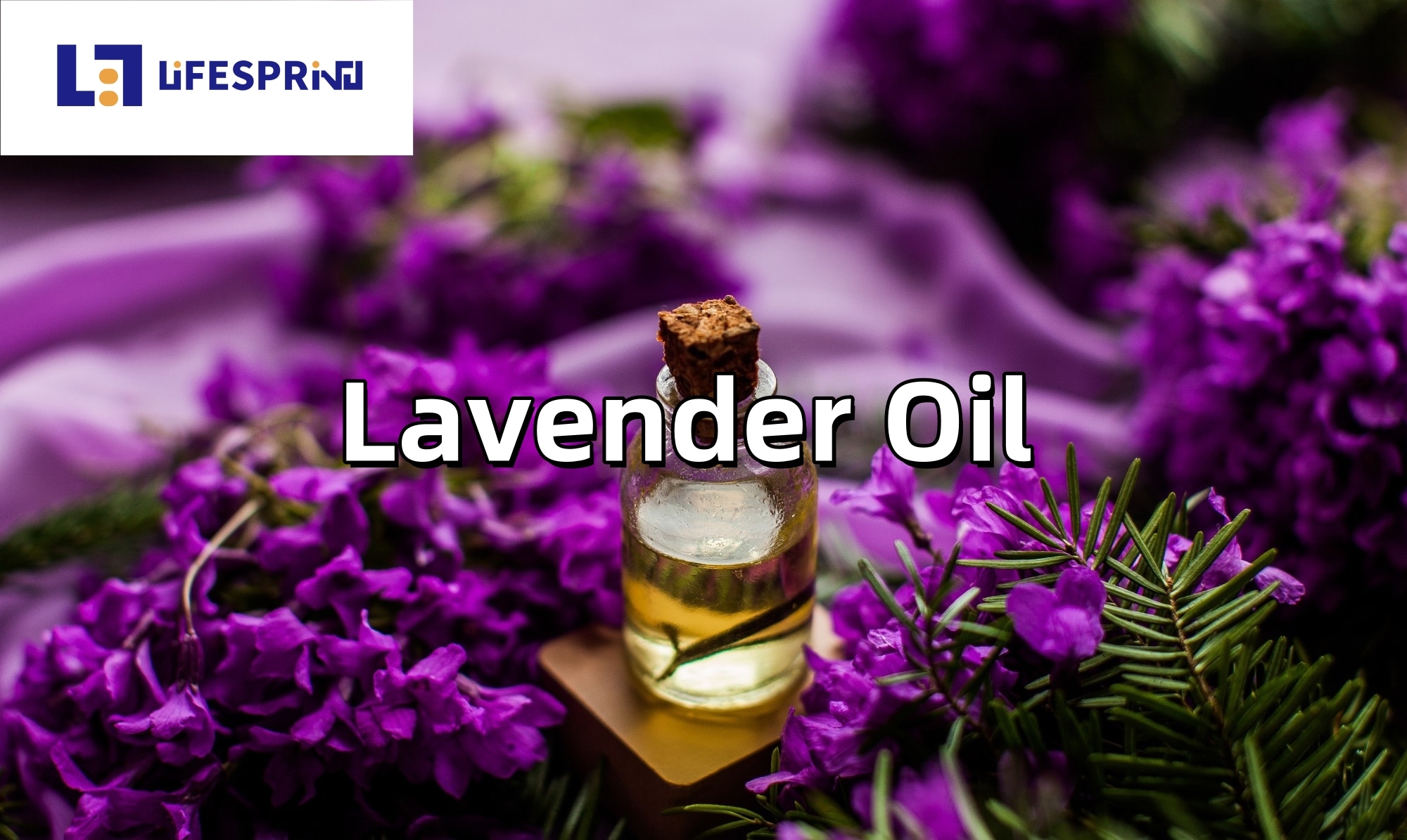 Lavender Oil