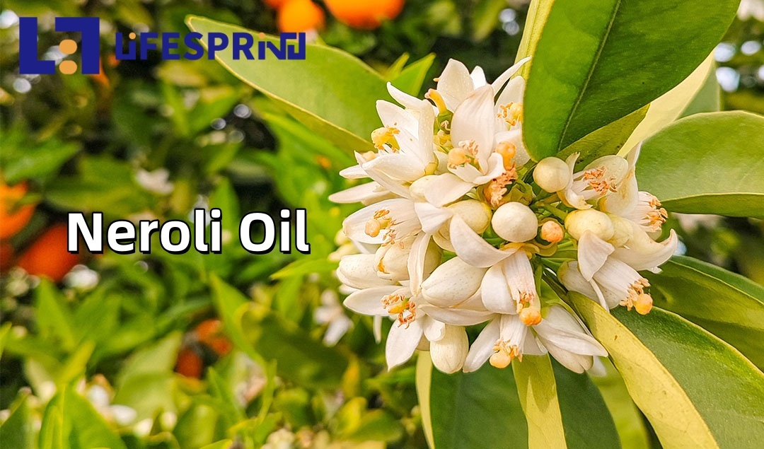 Neroli Oil