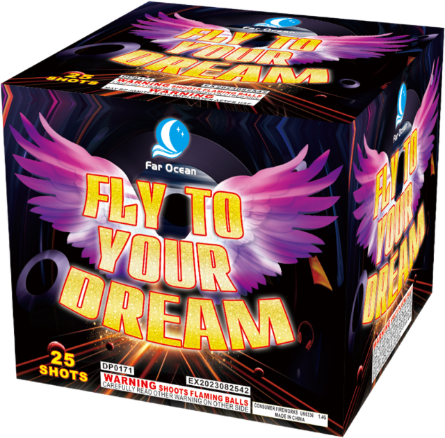Fly To Your Dream