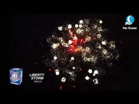 LIBERTY STORM