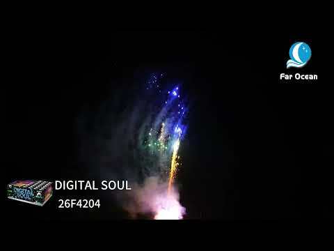 DIGITAL SOUL