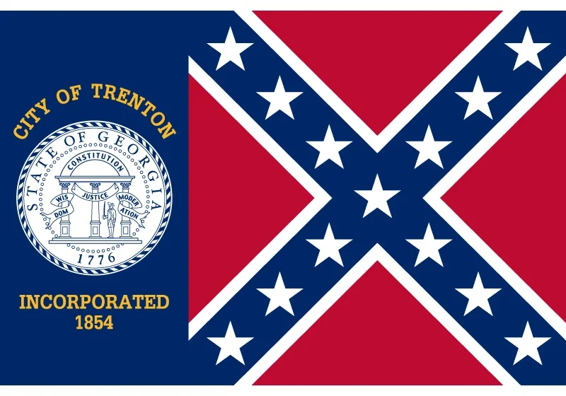 Trenton City Of Georgia flag and Banner 90*150cm 60*90cm 40*60cm Car Flag 3*5ft Hanging Flags For Campaign Event