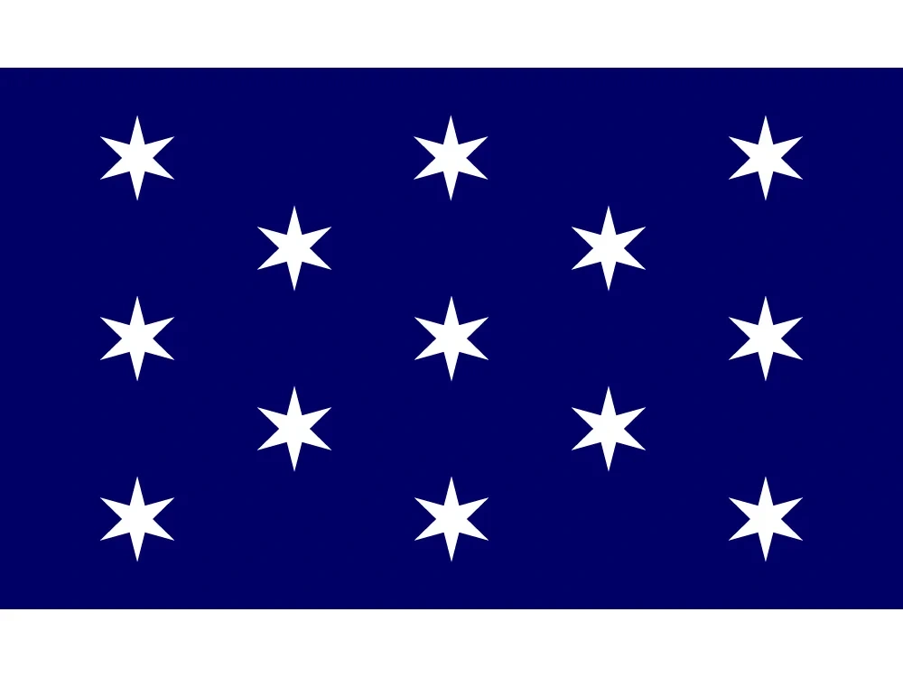 Washington City Flag Of USA New York State 3x5ft 90*150cm 60*90cm Custom 100d Polyester Banners