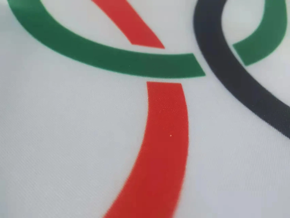 Graphic Custom Printed Flag Polyester Shaft Cover Brass Grommets Free Design Outdoor Advertising Banner Decoration Party Sport