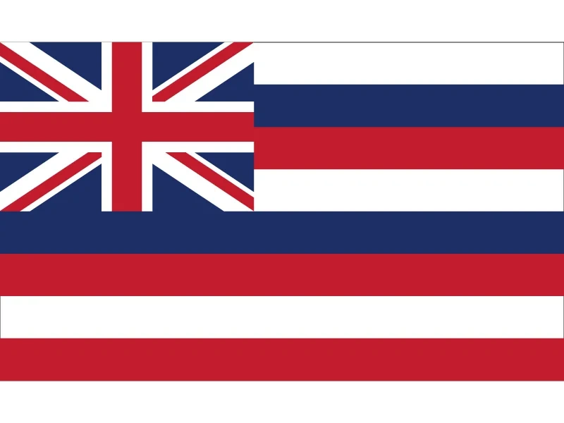 3x5ft Hawaii Flag 90*150cm 60*90cm 40*60cm Flying Flag Custom 15*21cm Hand Flag High-quality 100d Polyester