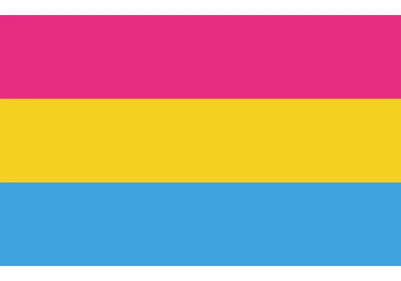 Pan sexual flag 90*150cm/60*90cm/40*60cm 3x5ft polyester Banner Flying flags 15*21cm Hand flags outside banner