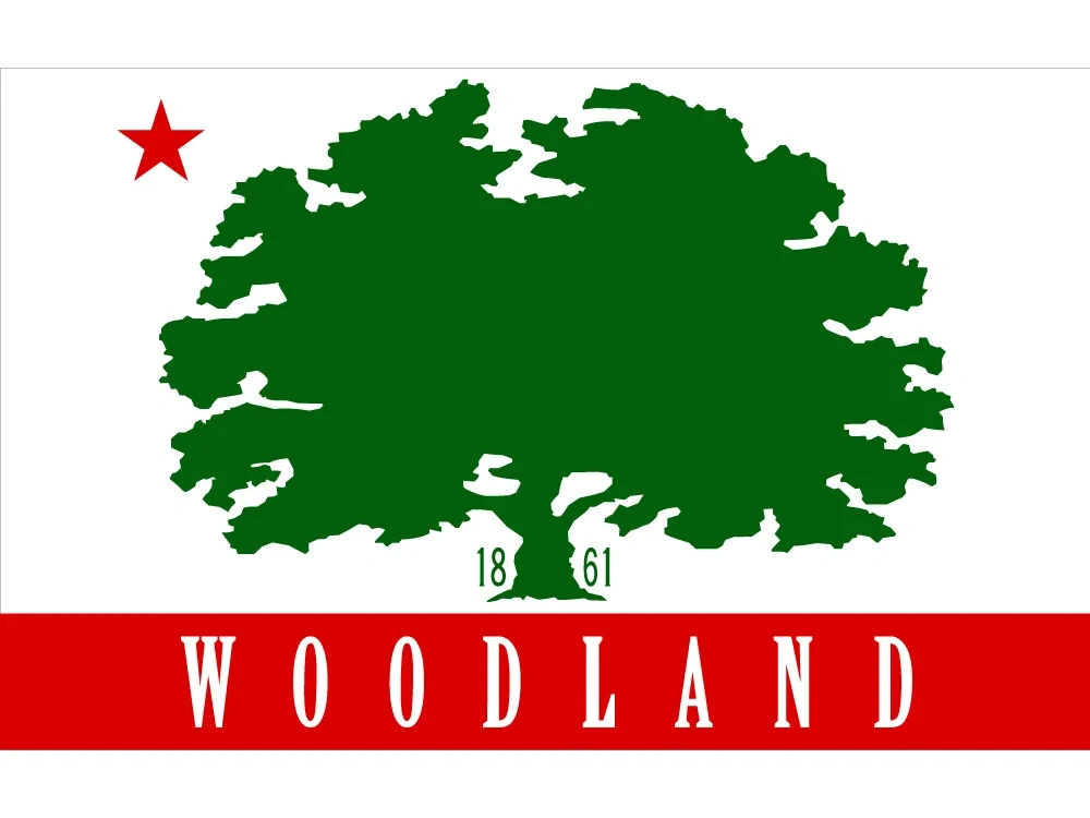 USA Woodland City Flag 60*90cm 90*150cm Flag 100d Polyester Custom 3x5ft California State