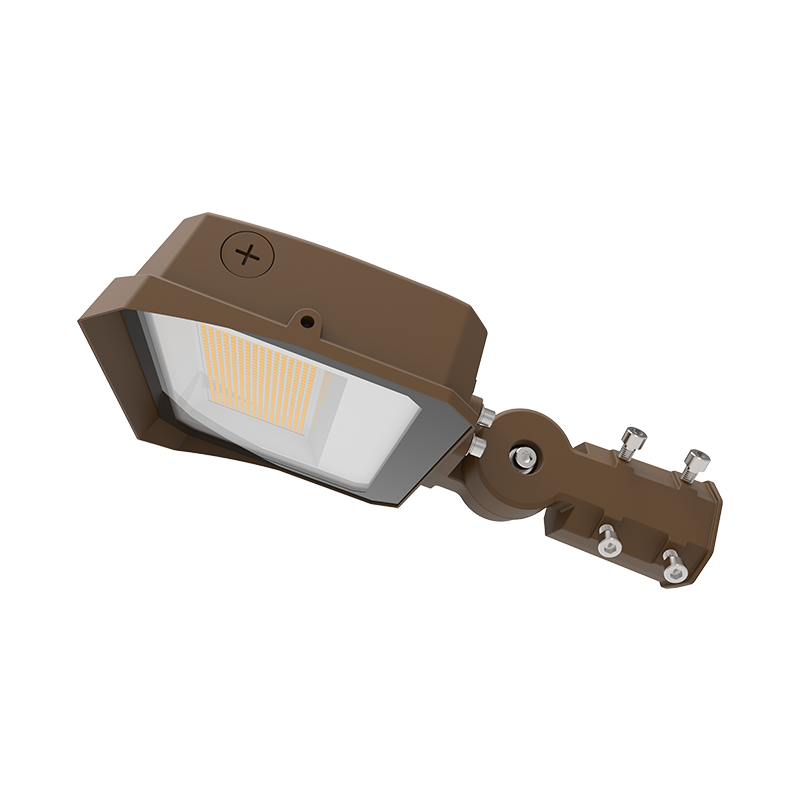 LED Flood Light