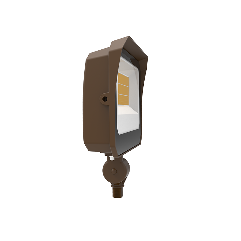 LED Flood Light
