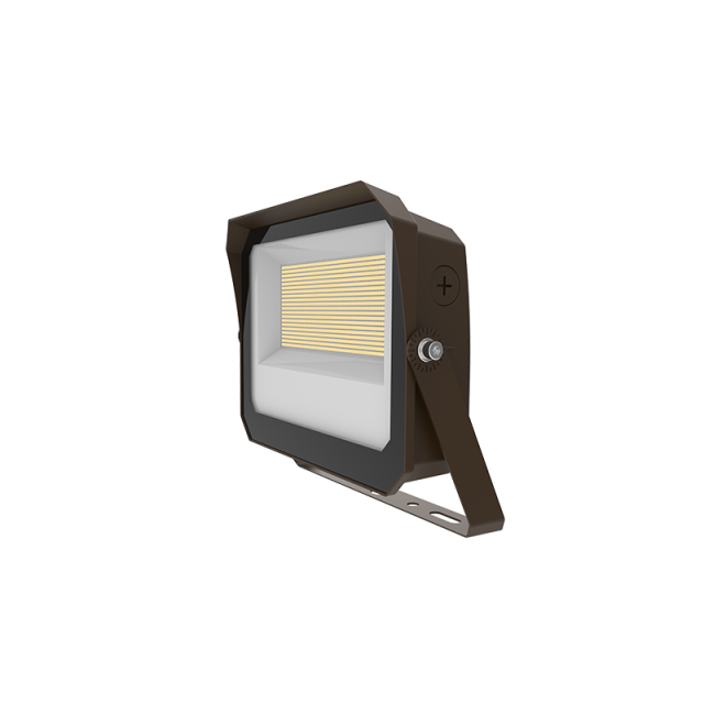LED Flood Light