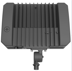 LED Flood Light