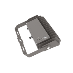 LED Flood Light