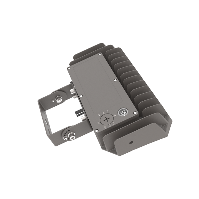 LED Flood Light