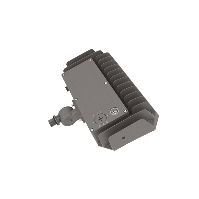 LED Flood Light