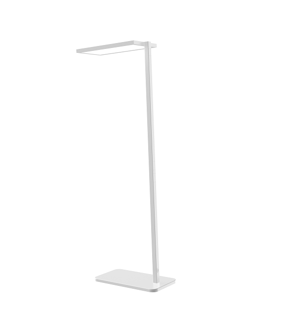 LED Floor Lamp