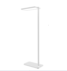 LED Floor Lamp