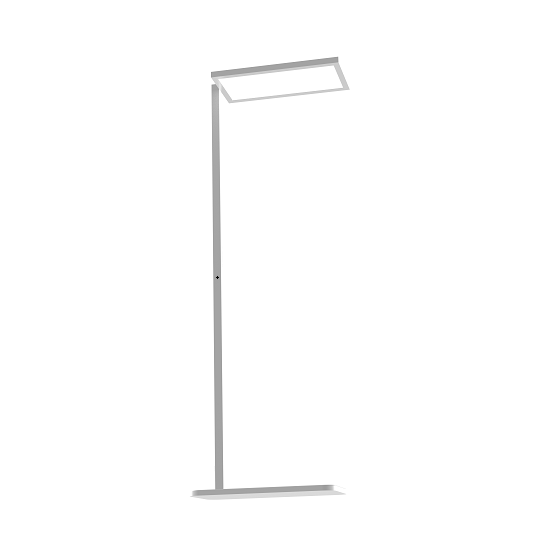 LED Floor Lamp