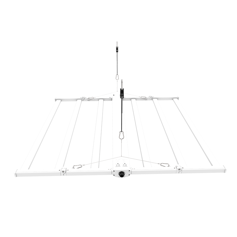 LED Grow Light