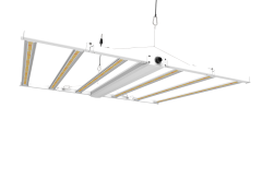LED Grow Light