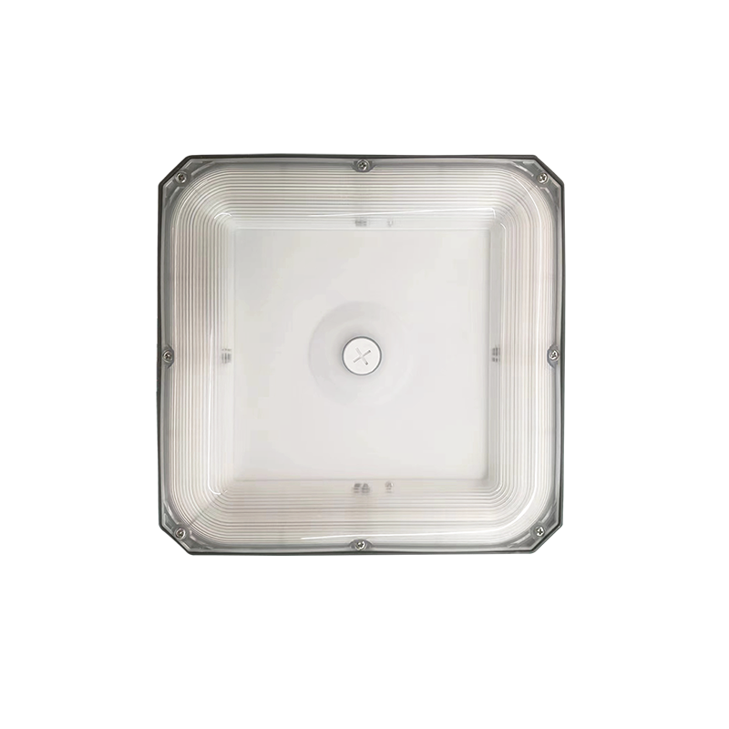 LED Garage Canopy Light