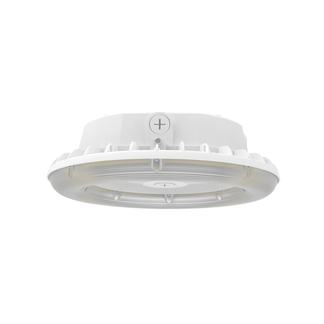 LED Garage Canopy Light