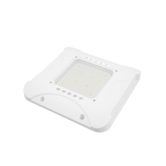 LED Gas Station Canopy Light