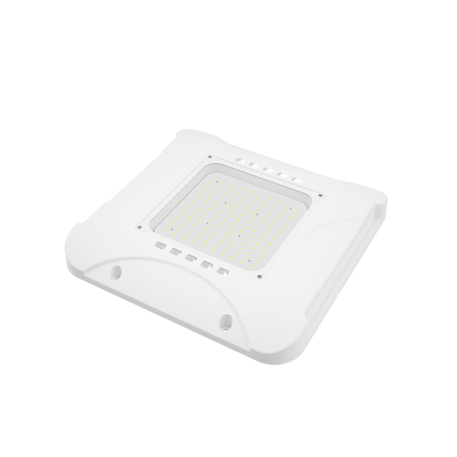 LED Gas Station Canopy Light