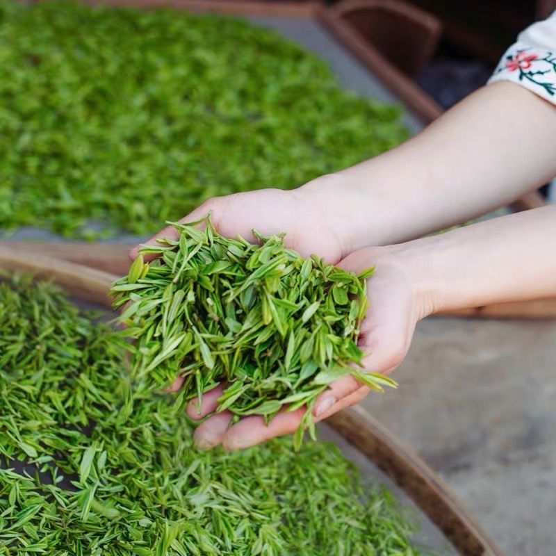 Bai LongJing Green Tea Dragon Well Green Tea Quality：B4