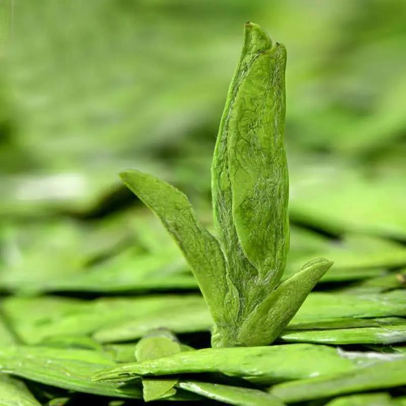 Mingqian LongJing Green Tea Dragon Well Green Tea Gift Box Quality：A4