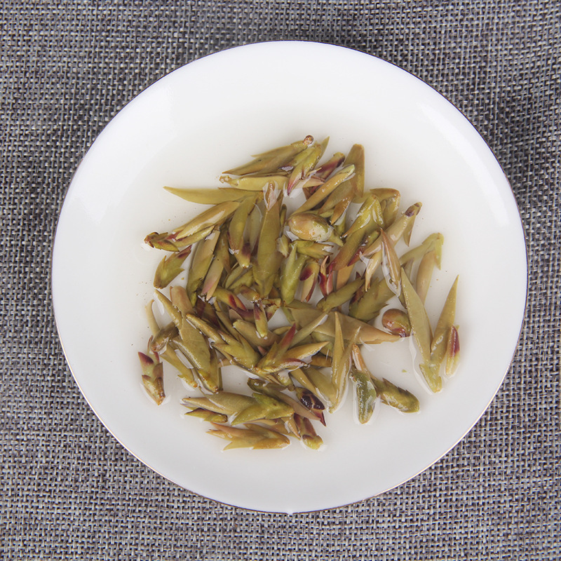 2023 Early Spring Tea Wild Purple Bud Tea Yunnan Ancient Tree Purple Bud Pu'er Raw Tea Pu'er Tea Purple spore