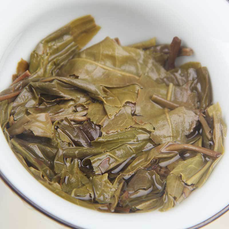 2021 Daxueshan Wilderness Ancient Trees Ancient Tea Pu'er Tea Cake Ancient Trees Fresh Pu'er Tea Cake More Aged and Fragrant 357g