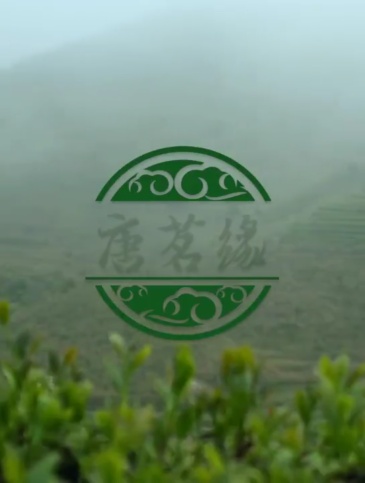 Gaoshan Green Tea, Bailongjing Tea, Xihu Longjing Tea