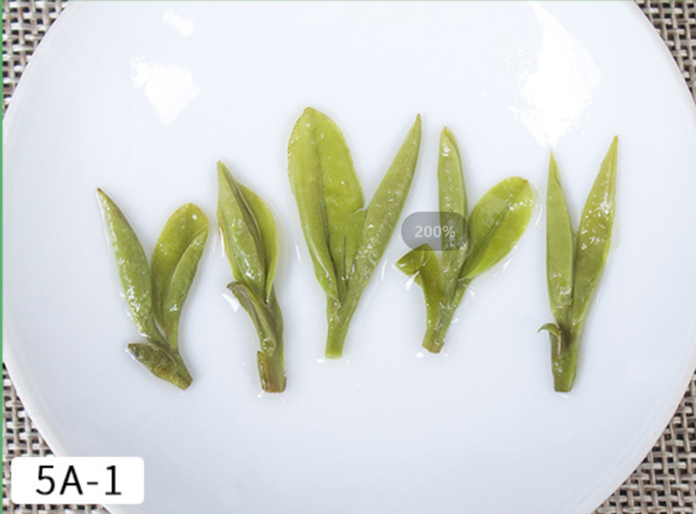 Gaoshan Green Tea, Mingqian Tea, Wuniuzao Longjing Tea, Xiaomi Ya Longjing Tea, West Lake Longjing Tea