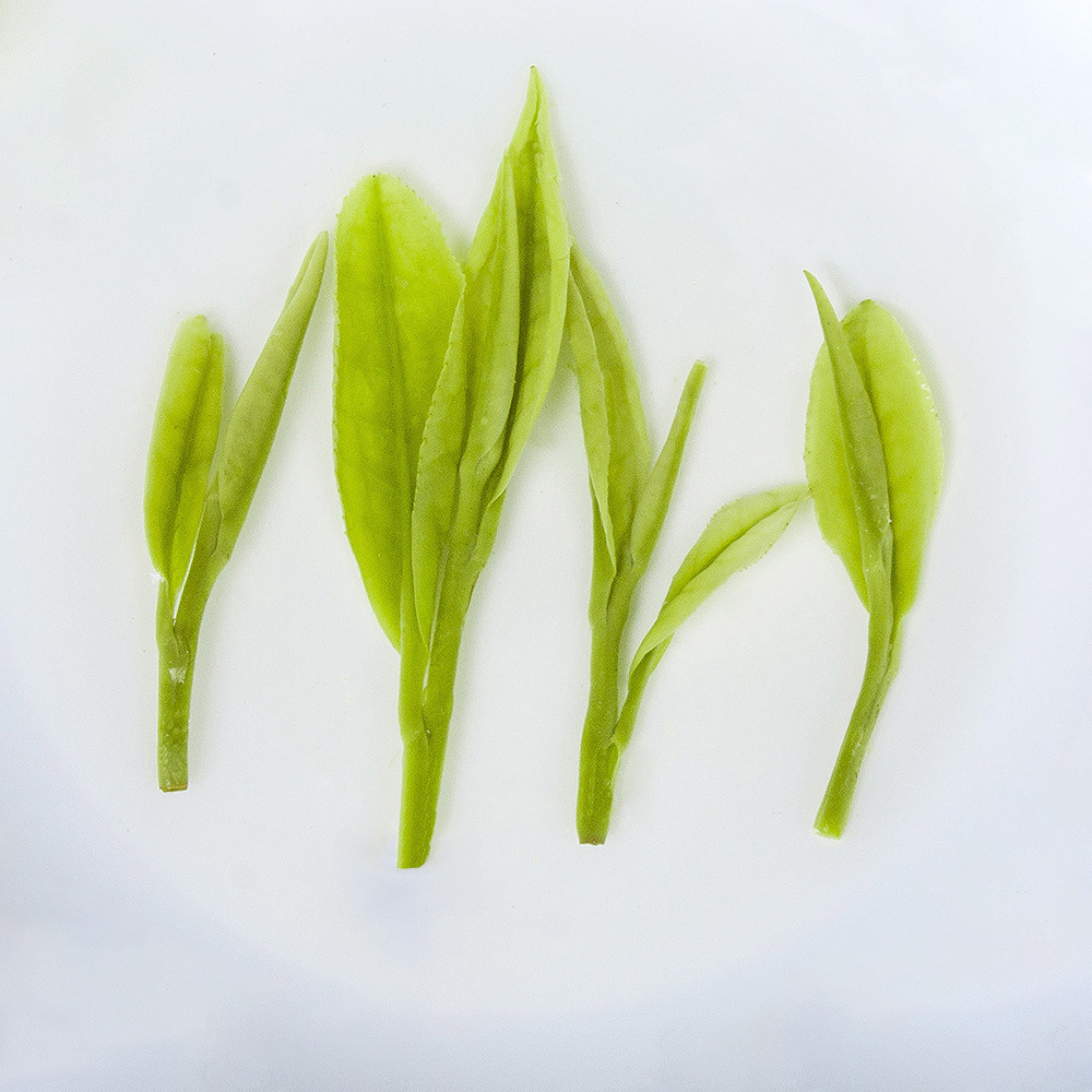 Gaoshan Green Tea, Bailongjing Tea, Xihu Longjing Tea