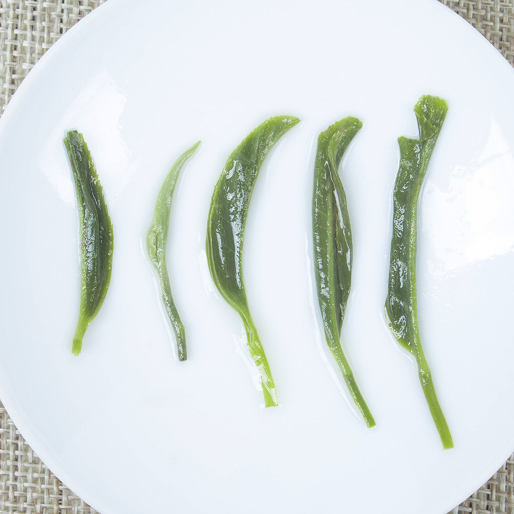 Mingqian Mountain Baihao Maojian Xinyang Maojian