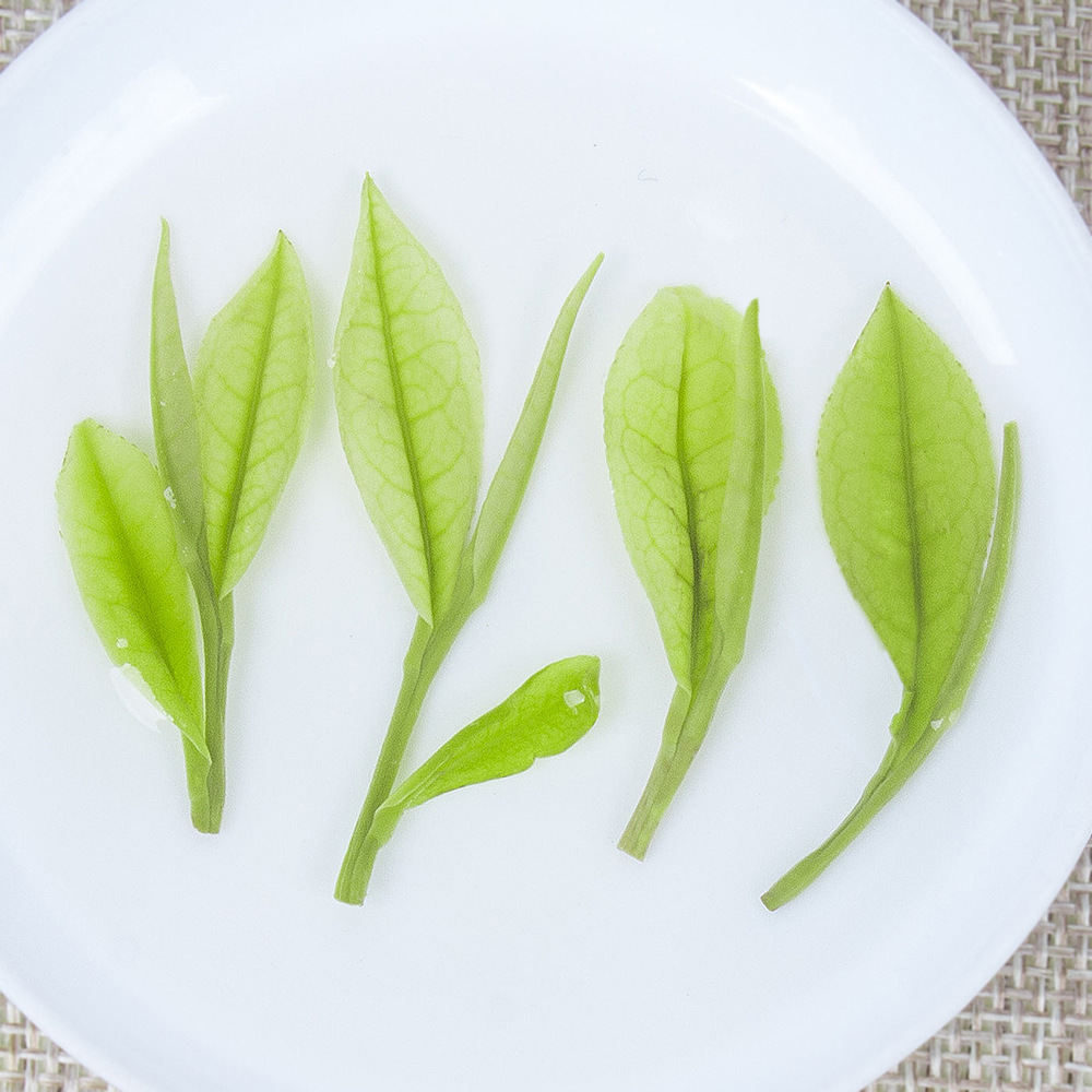 Premium Bulk Anji White Tea: Rich  Buds, Intense Fragrance, High Mountain Mingqian Green Tea