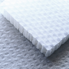 PP Honeycomb Sheet