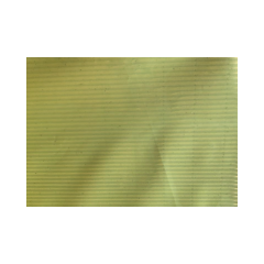 Vacuum Bag